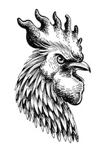 Rooster Head
