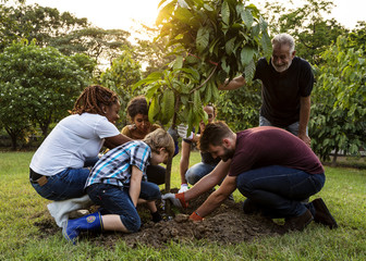 Poster - Group of people plant a tree together outdoors