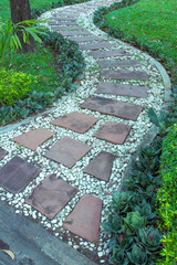  Walkway  in the green garden