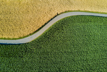 Aerial View Of Road Through Fields