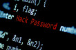 © adisonpk - Computer security concept. Hack password in program code