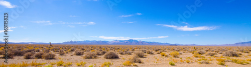 Plakat Pustynna panorama w pobliżu Area 51