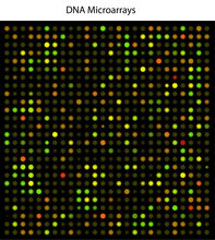 DNA Microarrays, Used, For Example, In Cancer Research.