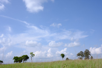 Meadow sky and cloud background.