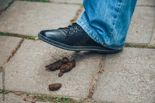 Dog Golden Poop On The Street Close Up Feces Background Of