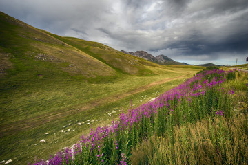 Wall Mural - Paesaggio nel Parco del Gran sasso