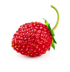 Berry wild strawberry with green leaf healthy food fresh fruit.