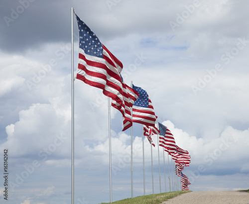 Fotografia American flags of a memorial for veterans flying in the breeze