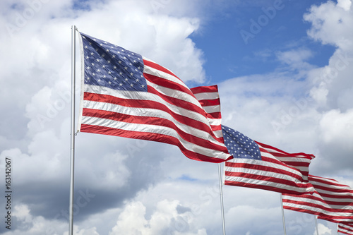 Papel de parede American flags of a memorial for veterans flying in the breeze