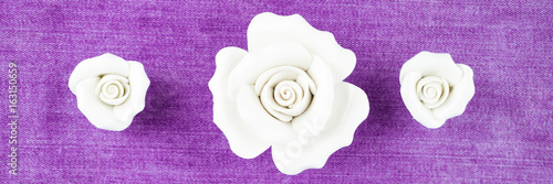 Zdjęcie XXL Trzy kwiaty biała porcelana wzrastali na purpurowym tkaniny tle, kopii przestrzeń, odgórny widok, sztandar