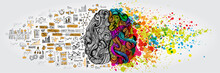 Left Right Human Brain Concept. Creative Part And Logic Part With Social And Business Doodle