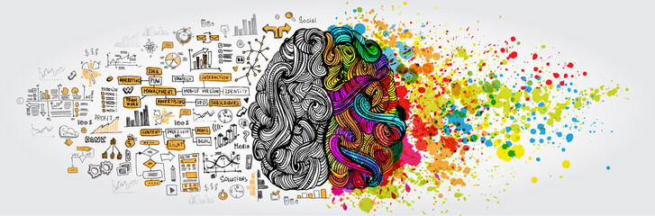 Wall Mural - left right human brain concept. creative part and logic part with social and business doodle