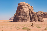 Fototapeta  - Camels and Rocks in Wadi Rum Jordan