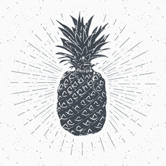 Wall Mural - vintage label, hand drawn pineapple, grunge textured retro badge template, typography design vector 