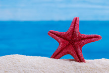 Red Starfish On White Sand