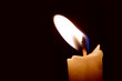 Burning candle on the isolated black background.