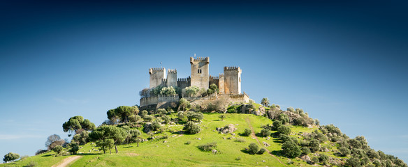 Castle on a Hill