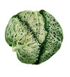 Loaf of savoy cabbage