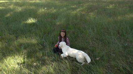 Poster - Girl and retriever on green grass, top view, slow motion