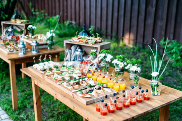 Beautiful catering banquet buffet table decorated in rustic style in the garden. Different snacks, sandwiches and cocktails. Outdoor.