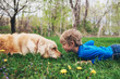 © RooM The Agency - Boy and his golden retriever dog lying on a grass lawn looking at each other, USA