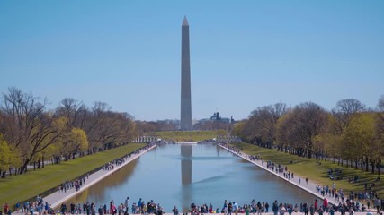 Wall Mural - Lincoln Memorial Reflecting Pool in Washington DC