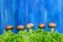 Mushrooms Champignons And Lettuce Leaves On A Blue Wooden Background.