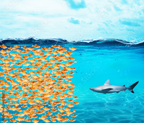 Plakat Grupa Goldfishes tworzy ścianę przeciwko rekinom. Pojęcie jedności to siła, praca zespołowa i partnerstwo