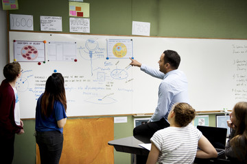 Wall Mural - group of students learning in classroom