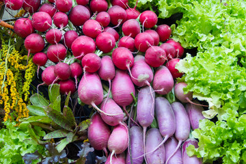 radish and red radish