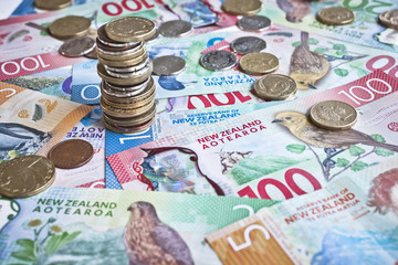 Wall Mural - New Zealand money or currency