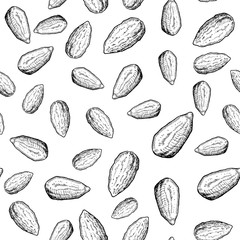 Almond nut vector seamless pattern. Hand drawn background. Food ingredient sketch.