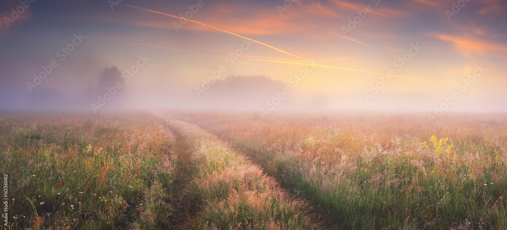 Bright sunrise on autumn meadow - obrazy, fototapety, plakaty 