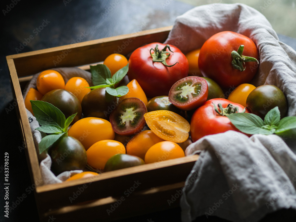 Colorful tomatoes of different sizes and kinds and green twigs of basil ...