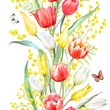 Watercolor mimosa and tulip pattern
