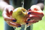 Fototapeta  - Mycie owoców. Kobieta myje jabłko pod bieżącą wodą.