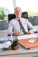 Wall Mural - Portrait of smiling mature businessman