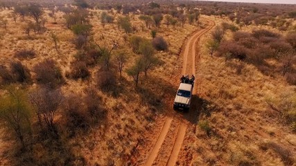 tourists go on savannah during a safari on a hunting off-road car.