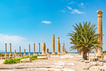 Wall Mural - Al Mina archaeological site in Tyre, Lebanon. It is located about 80 km south of Beirut and has led to its designation as a UNESCO World Heritage Site in 1984.