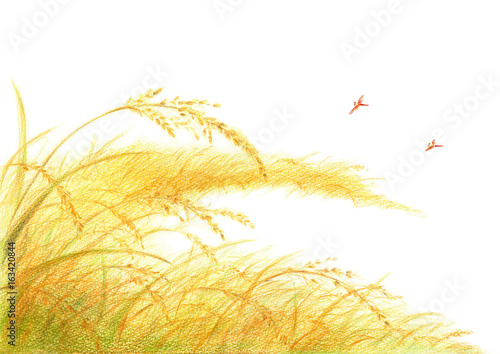 田んぼと赤とんぼの風景 Adobe Stock でこのストックイラストを購入