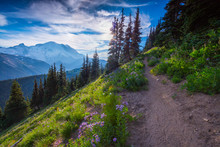 The Path Between The Rocks Leads To The Mountain Top. Sourdough Ridge Trail, Mount Rainier National Park