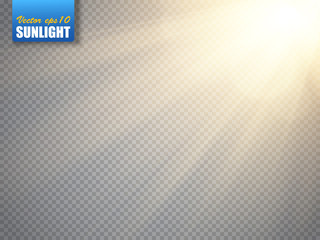 Wall Mural - lens flare light effect. sun rays with beams isolated. vector