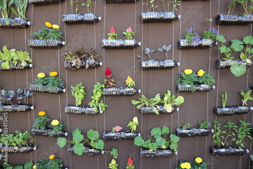 The Idea Of Using Plastic Bottles To Create Vertical Garden Stock Photo Adobe Stock