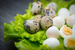 Leaves of a green salad with quail eggs in a skolrupa and without, by, on a dark wooden table.