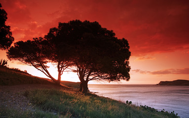 Canvas Print - littoral du Pays catalan