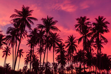 Silhouette Of Coconut Trees Against Dramatic Red Sunset Sky Background.