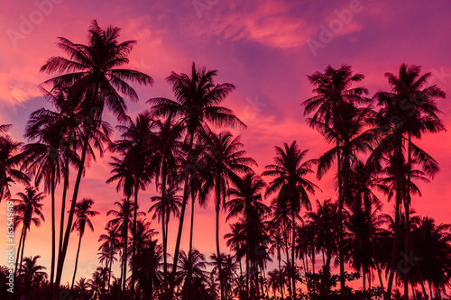 Cuadros en Lienzo Silhouette of coconut trees against dramatic red sunset sky background