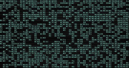 set of random Hexadecimal machine code glowing on a black background 