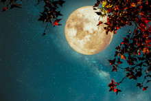 Beautiful Autumn Fantasy - Maple Tree In Fall Season And Full Moon With Milky Way Star In Night Skies Background. Retro Style Artwork With Vintage Color Tone