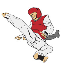 Wall Mural - Taekwondo Martial art